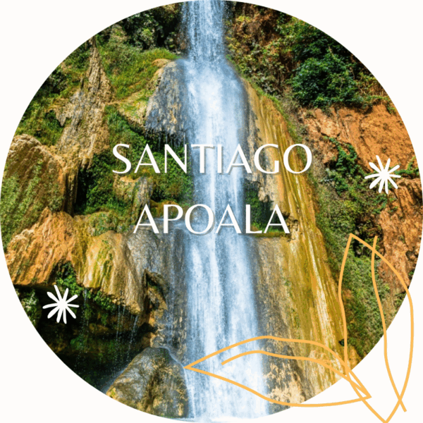 santiago apoala