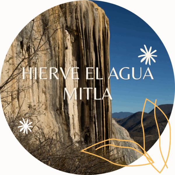 hierve el agua mitla Árbol del tule